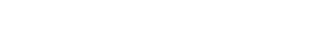 Logo Water Brain trasparente